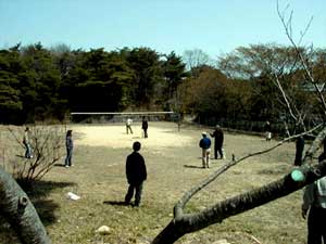 �N���P�b�g����Ă�